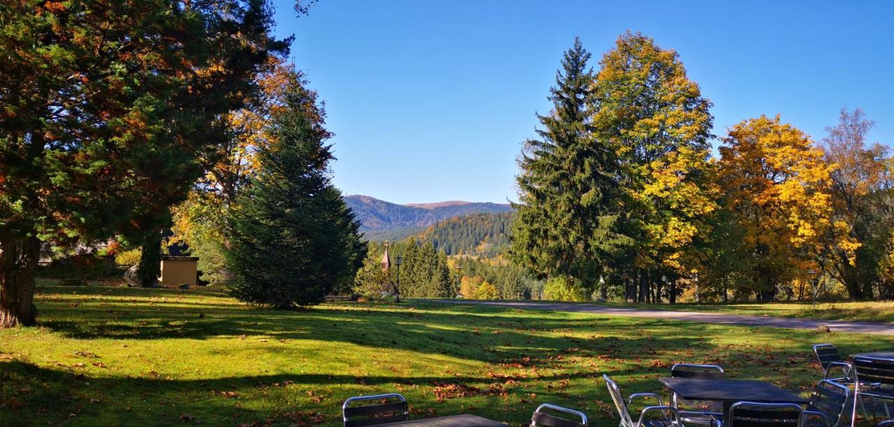 Gaestehaus Behabuehl Feldberg (Baden-Wurttemberg) Exterior foto